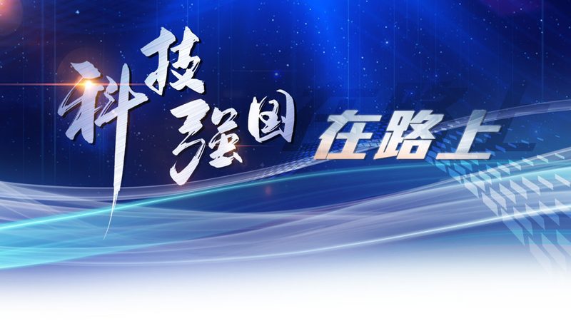企业数字化管理平台选型的五大关键考量**